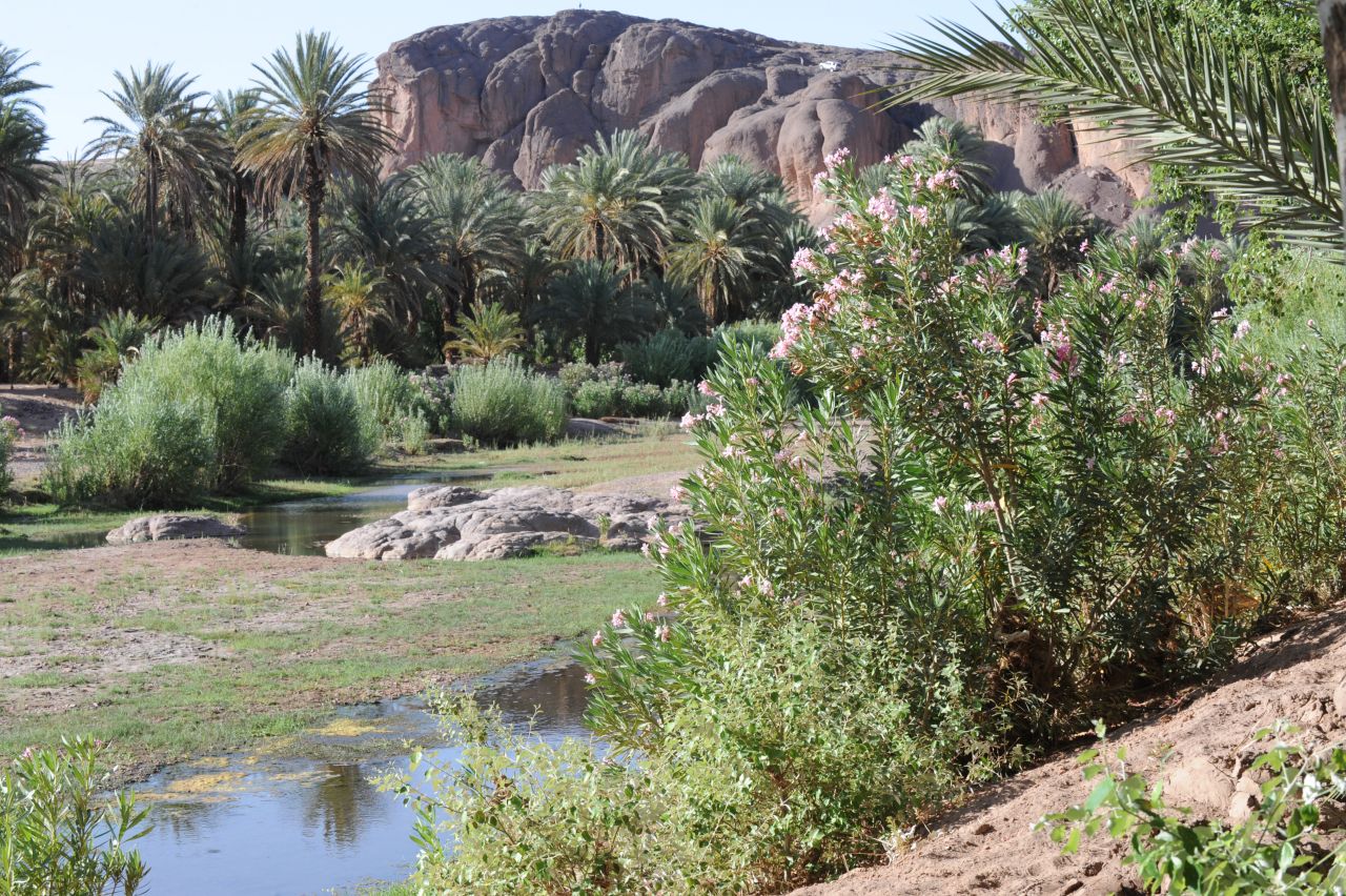 Outside Ouarzazate town lies the Fint Oasis. The lush greenery comes in sharp contrast with the desert plains, giving filmmakers easy access to multiple backdrop options.