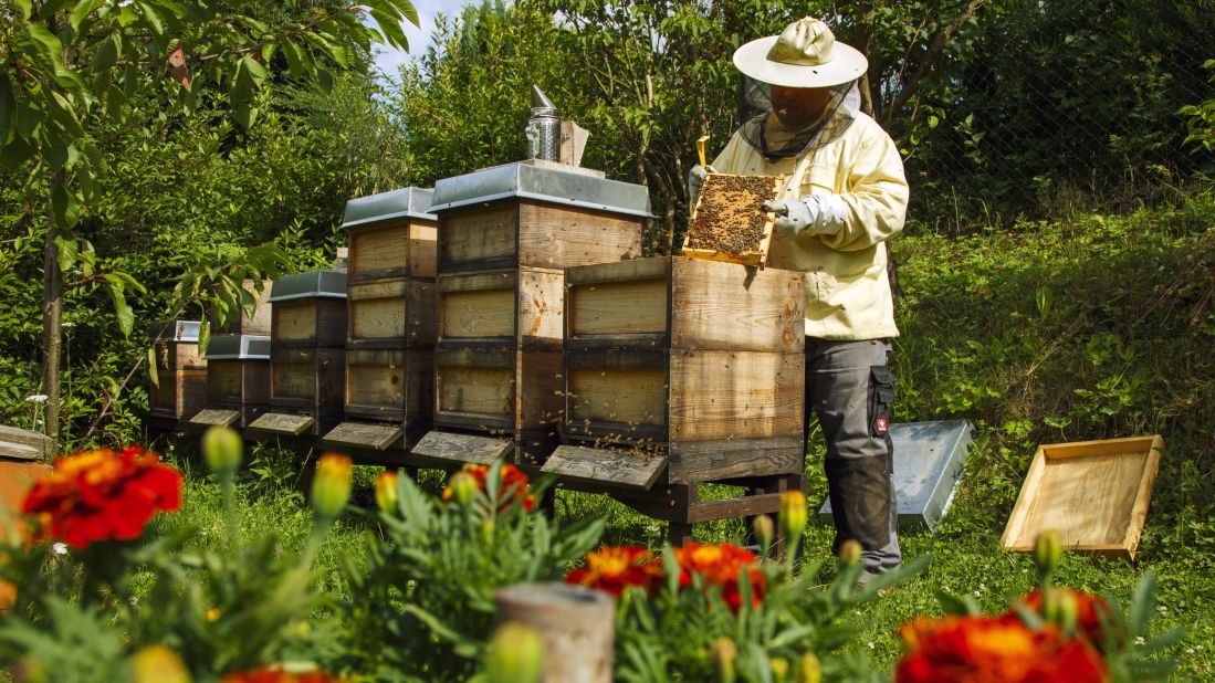 <strong>Buy local:</strong> Be on the lookout for local organically grown fruits, vegetables and honey that help support beekeepers in your area.