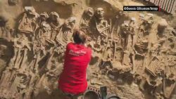 orig mclaughlin 200 skeletons found paris_00003828.jpg