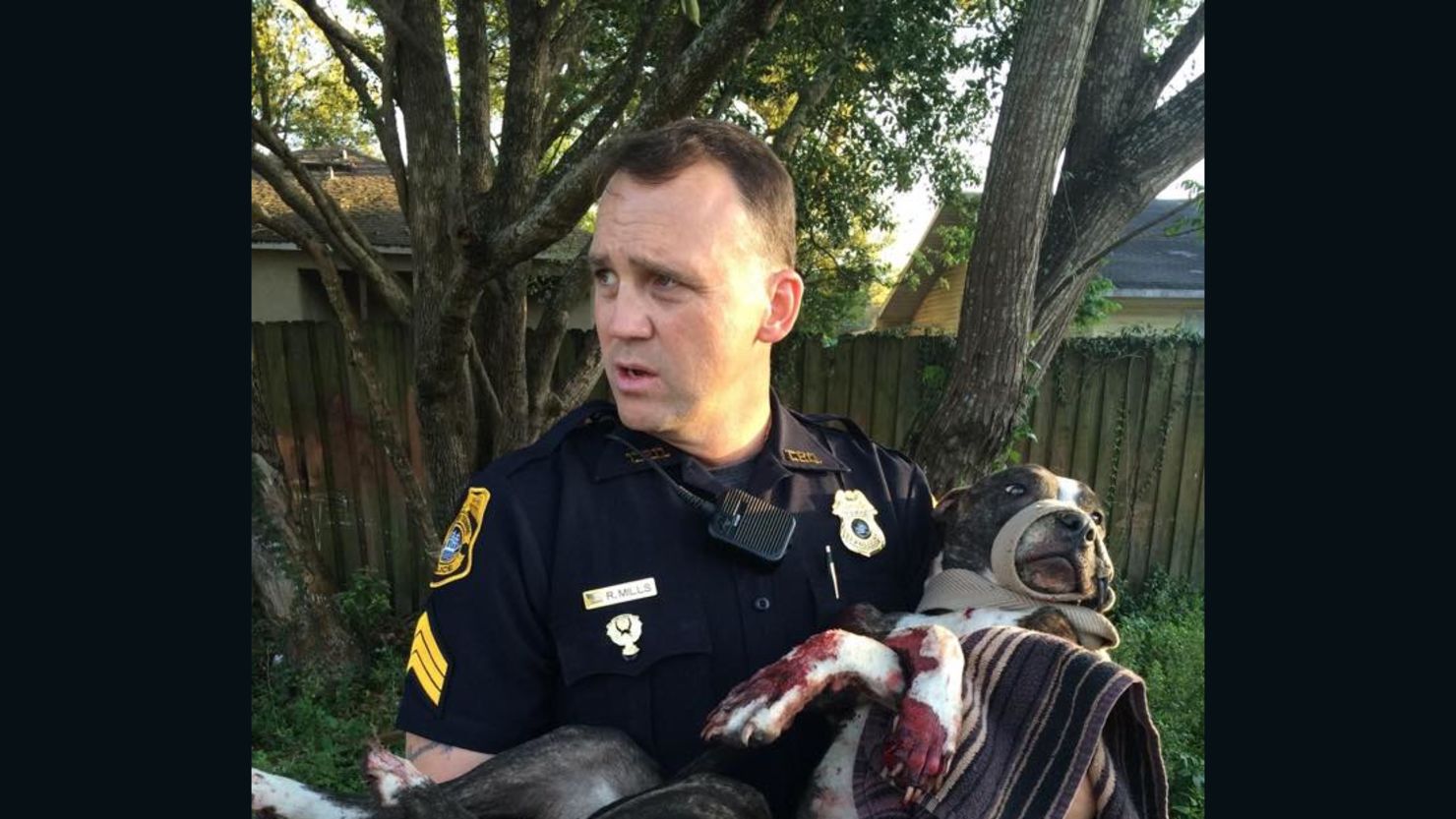 Tampa police Sgt. R. Mills carries Cabela after freeing her
