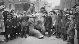 Caption:Blind children standing on a sidewalk, one is sitting on the back of a kneeling elephant from the Ringling Brothers Circus, Chicago, Illinois, April 20, 1917. From the Chicago Daily News collection. (Photo by Chicago History Museum/Getty Images)