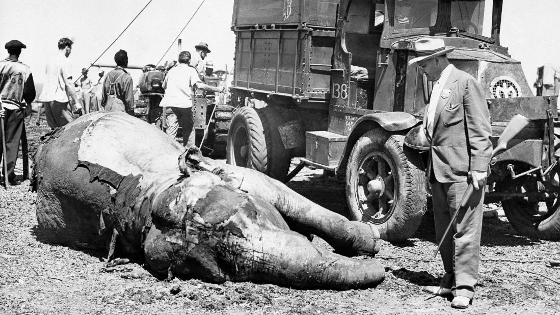 Detective inspector Frank Story, right, euthanized this circus elephant after it was badly burned in a fire at the Ringling Bros. show grounds in Cleveland in August 1942.