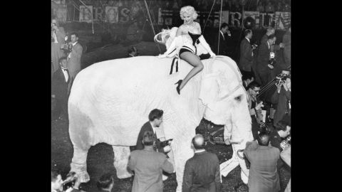 Actress Marilyn Monroe rides on the back of an elephant to mark the opening night of the circus at New York's Madison Square Garden in March 1955.