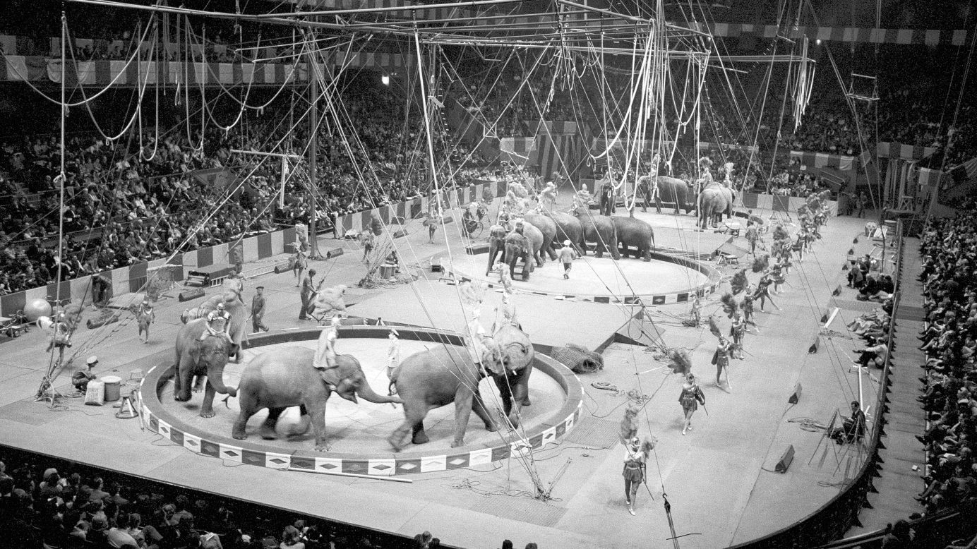 Elephants perform in New York in March 1964.
