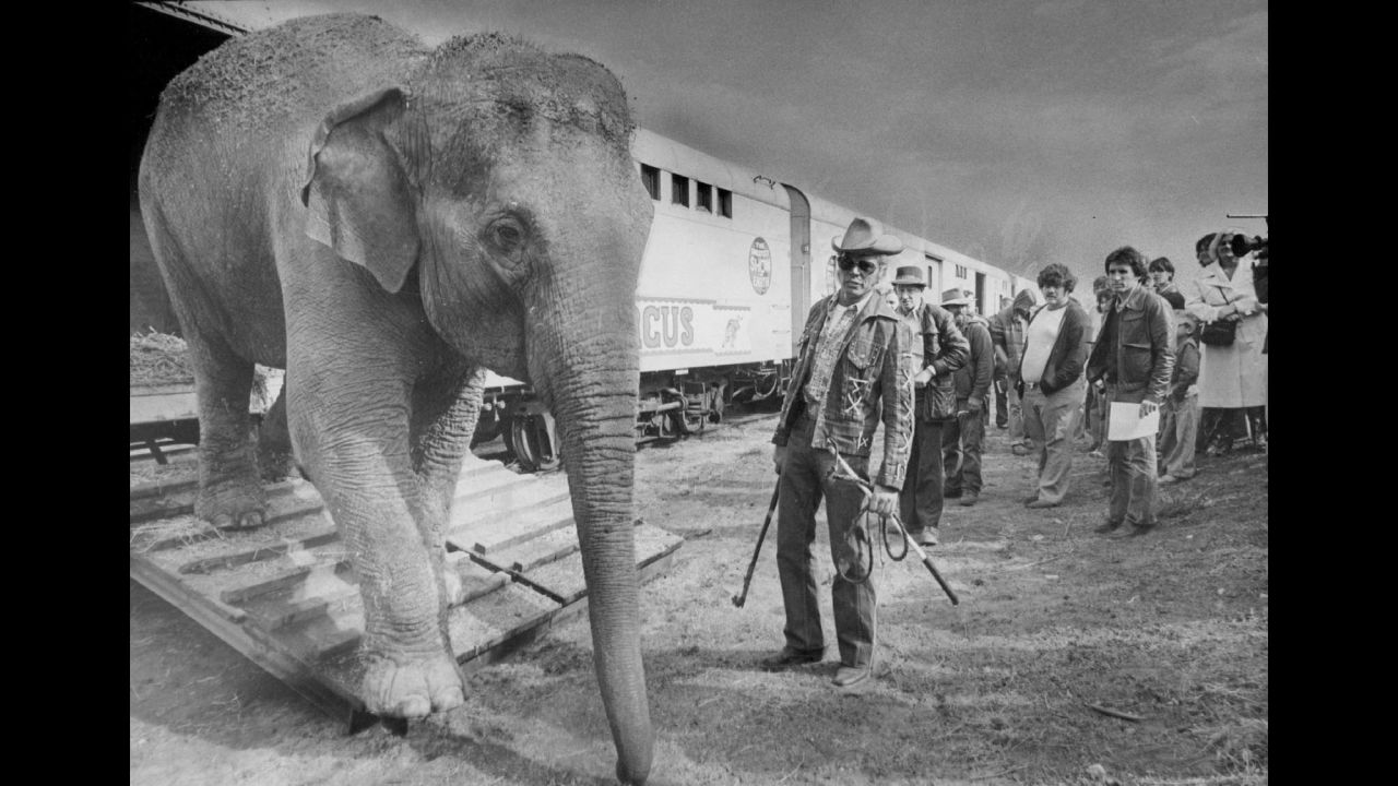 An elephant walks out of a boxcar near the show's famous animal trainer, Gunther Gebel-Williams, in 1979.