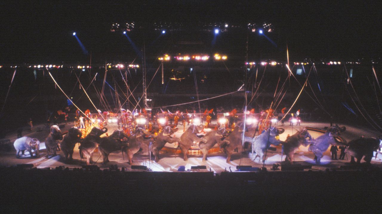 Elephants perform in 1995.