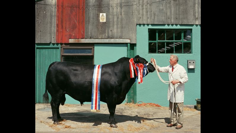 Colin displays his Aberdeen Angus bull named Kings Brompton Endeavour.