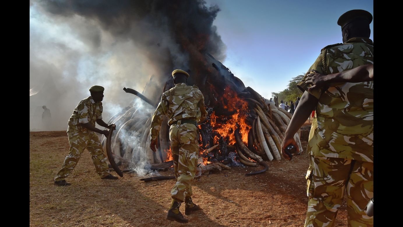 Kenyan security officers burn 15 tons of confiscated elephant ivory at Nairobi National Park on Tuesday, March 3. The fire was lit by Kenyan President Uhuru Kenyatta to mark World Wildlife Day and African Environment Day. An average of 30,000 elephants are poached every year in Africa.