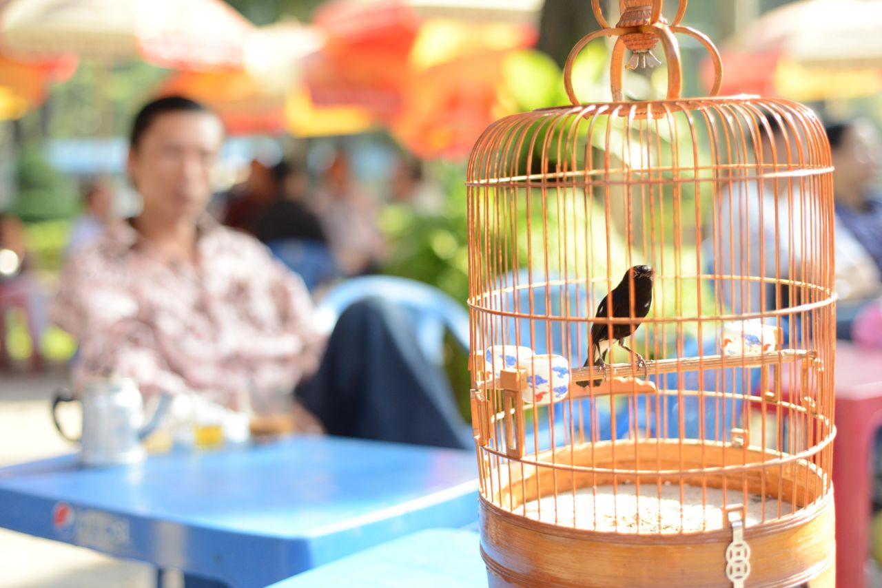 Tao Dan: Popular morning stop for Ho Chi MInh City day tour.