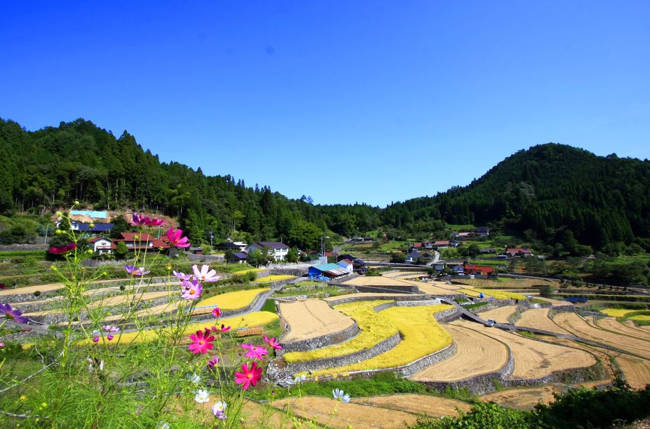 <strong>Ini Tanada (Hiroshima): </strong>Ini has more than 320 terraced rice paddies. The oldest stone terrace dates back about 500 years. <br />Using only pure natural water from mountain valleys, Ini Tanada's rice is particularly favored for its rich fragrance and taste. The town regularly holds a rice planting event on its terraces to pass on traditional farming methods.