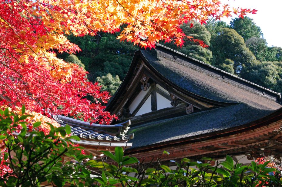 <strong>Saimyoji Temple (Shiga): </strong>Located in the Suzuka mountain range, Saimyoji Temple is one of a trio of ancient Tendai Buddism temples in eastern Shiga, also known as "Koto Sanzan." The temple is renowned for the beautiful red and orange leaves that surround it in the fall and long blooming cherry trees.<br />