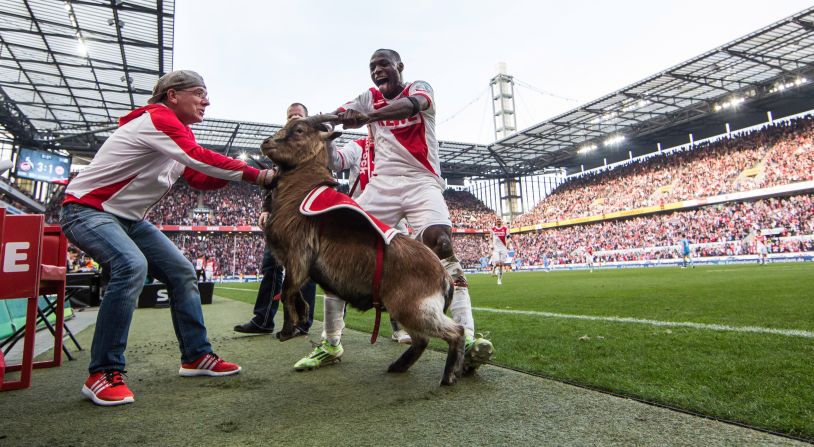Cologne striker Anthony Ujah celebrates a goal with his team's mascot, Hennes the goat, during a Bundesliga match in Cologne, Germany, on Sunday, March 8. Cologne defeated Eintracht Frankfurt 4-2.