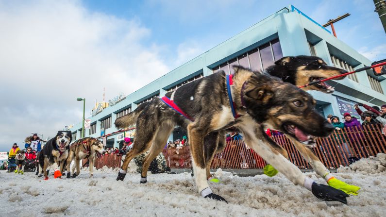 Michelle Phillips and her team of sled dogs charge down an Anchorage, Alaska, street during the ceremonial start of the Iditarod on Saturday, March 7.
