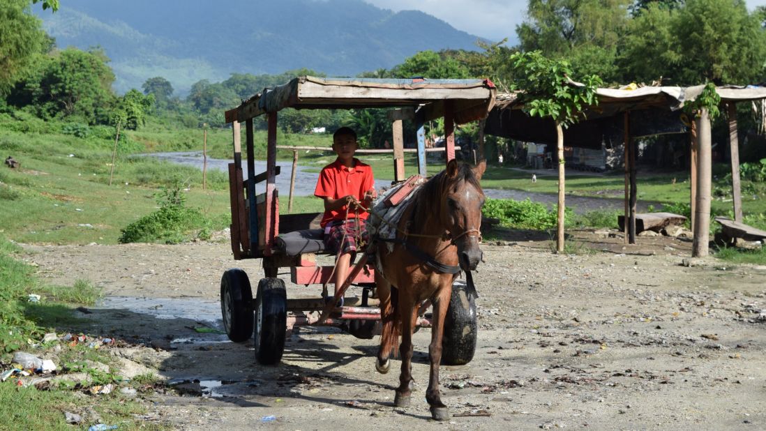 A child drives a makeshift horse-drawn carriage in San Pedro Sula, Honduras.