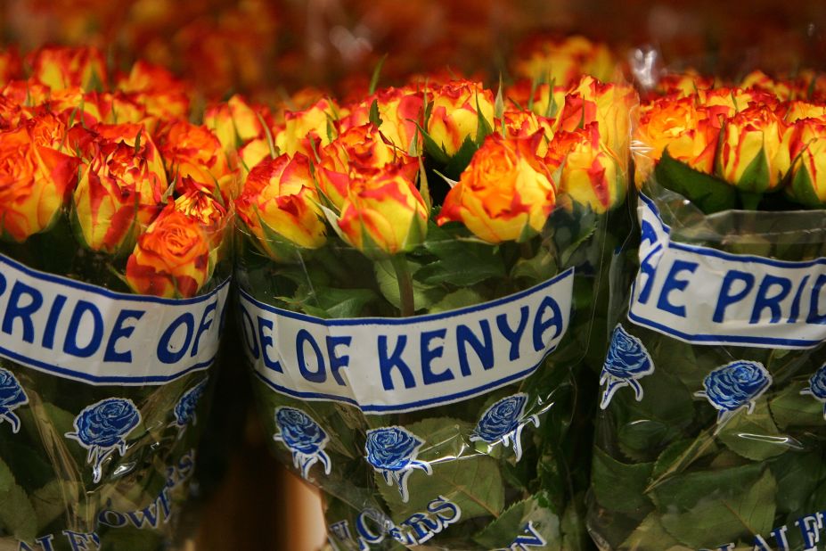 Kenya is one of the world's biggest exporters of cut flowers, accounting for around one in three flowers sold in the European Union.