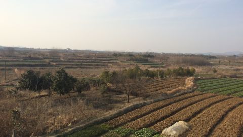 There are few jobs in Chao Hu, a village in the inland province of Anhui.