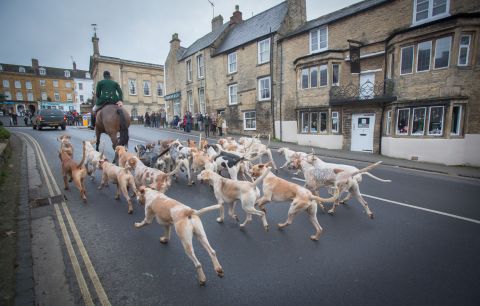 The hounds of the Heythrop Hunt arrive to greet hunt supporters in Chipping Norton. Clarkson lives in the Cotswolds village, not far from the home of his friend, UK Prime Minister David Cameron.