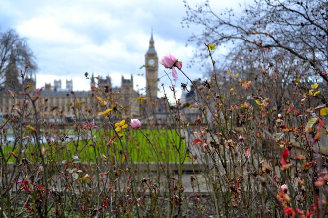 <a href="index.php?page=&url=http%3A%2F%2Fireport.cnn.com%2Fdocs%2FDOC-1223692">Big Ben beckons </a>through the first blooms of spring in London on February 20. 