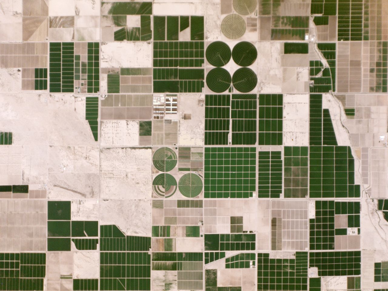 Irrigated fields in Pinal County, Arizona.