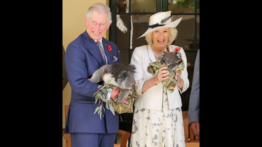 The royal couple holds koalas while visiting Australia in November 2012.
