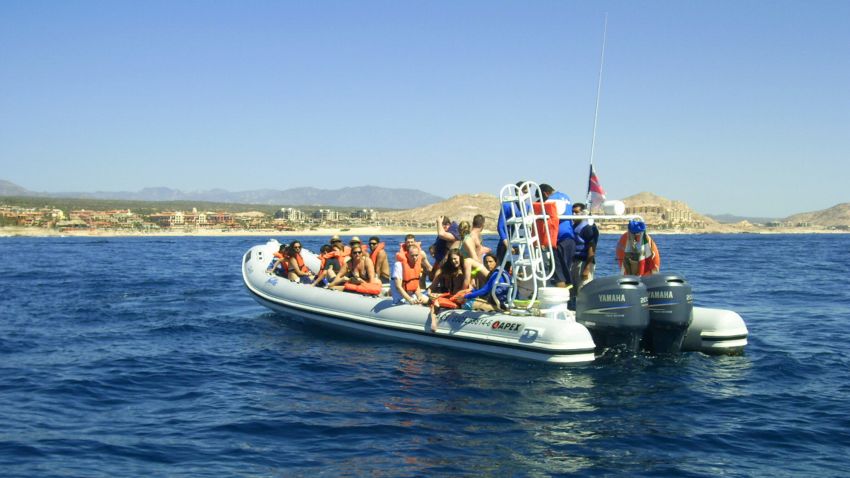 In this photo provided by the Procuraduria Federal de Proteccion al Ambiente (PROFEPA), shows a boat which collided with a grey whale near the beach resort of Cabo San Lucas, Mexico, Thursday, March 12, 2015. Mexican authorities said Thursday, March 12, 2015, that a 35-year-old Canadian woman has died and two other tourists were injured near the beach resort when a surfacing grey whale crashed onto their boat as they came back from a snorkel tour. (AP Photo/PROFEPA)