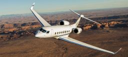 The Gulfstream G650 can fly eight passengers and four crew members, according to gulfstream.com.