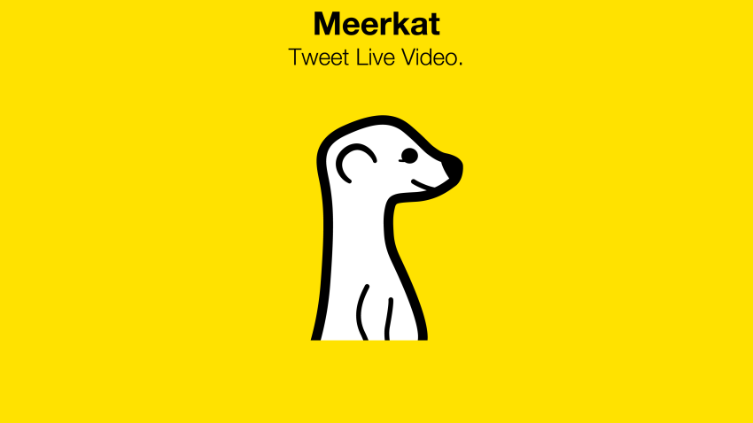 money bin meerkat