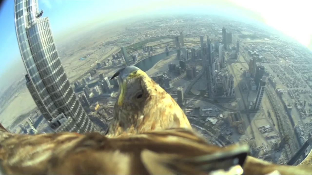 CNNE eagle burj khalifa