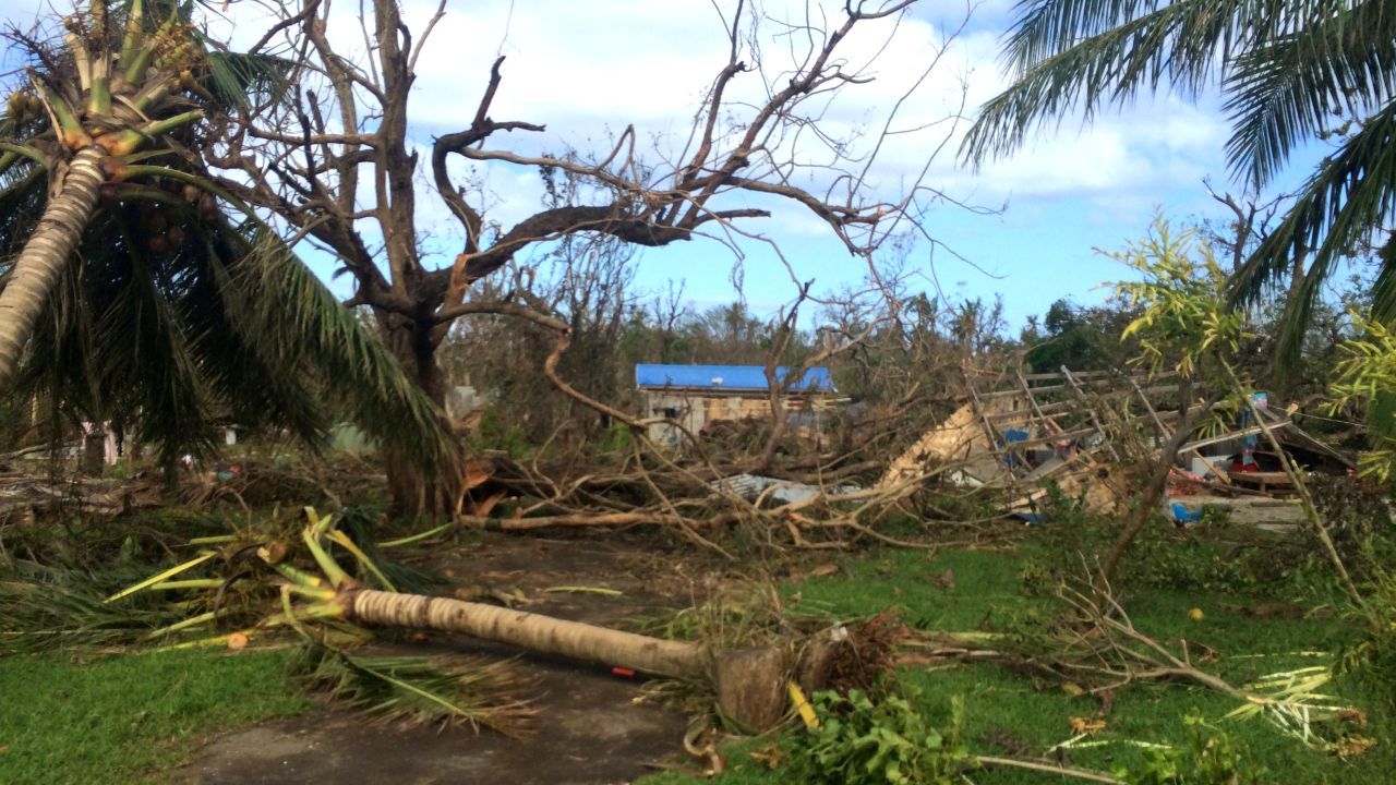 Cyclone Pam's 155 mph winds snapped trees in half. The Vanuatu government estimates 70% of the population was displaced by the storm.