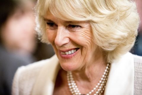 Camilla speaks with guests at the reception on March 17.