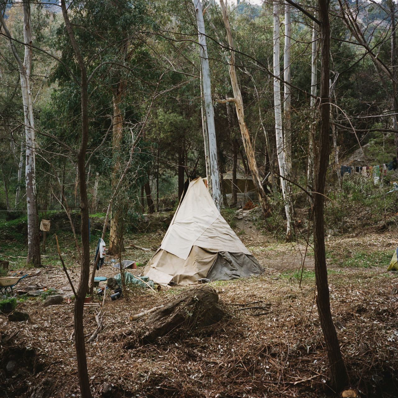  Others opted for the simpler dwelling of a teepee.