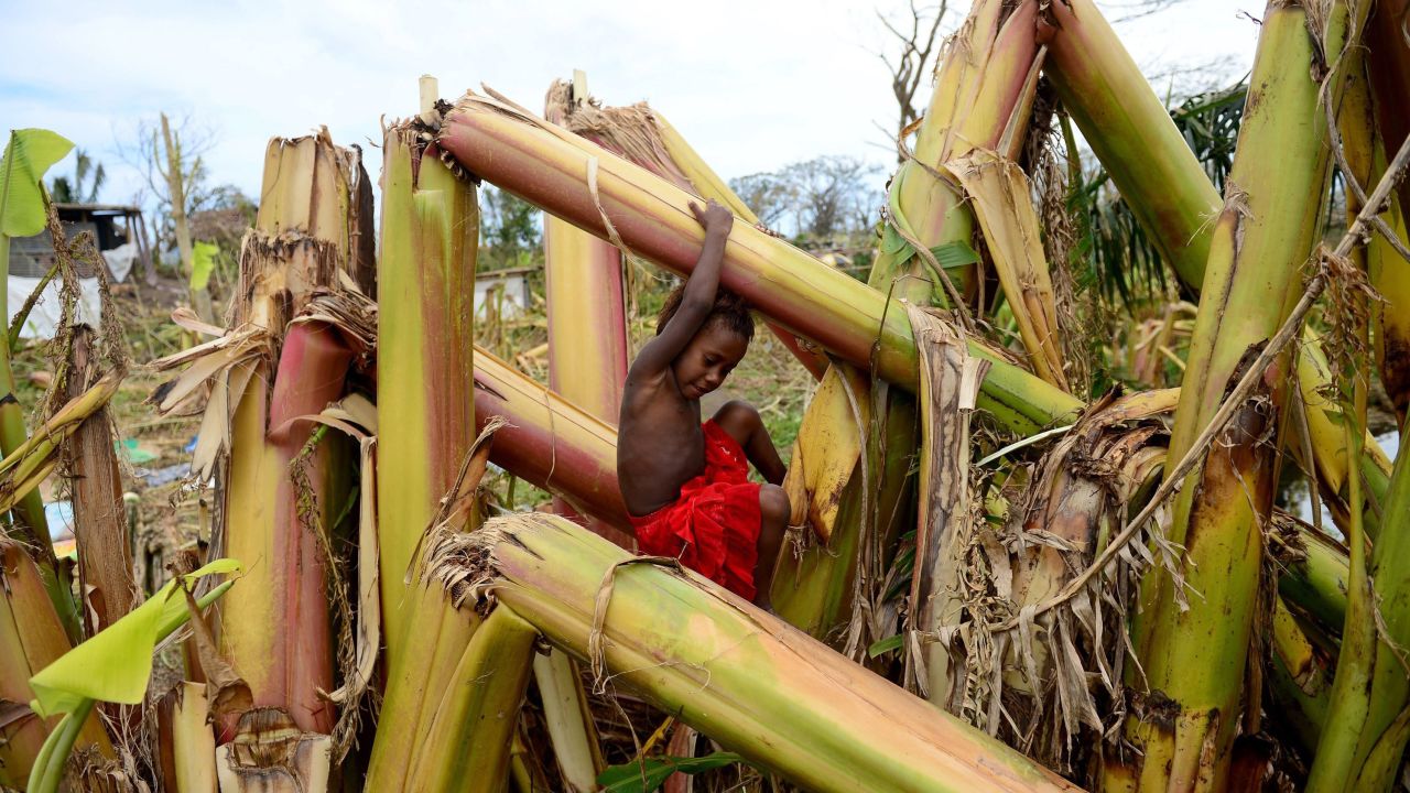 A young boy plays on a destroyed banana plantation in Mele, Vanuatu, on March 19.