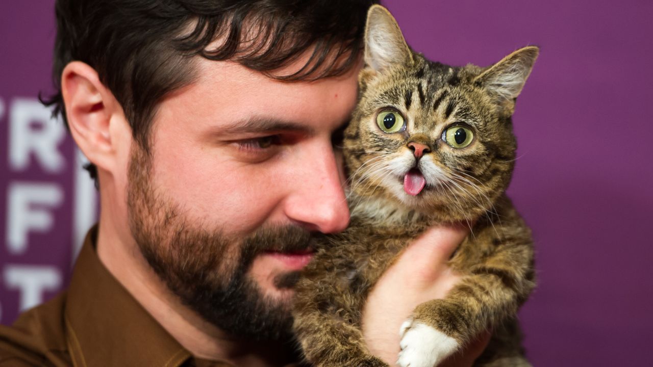 Owner Mike Bridavsky and celebrity cat <a href="https://twitter.com/iamlilbub" target="_blank" target="_blank">Lil Bub</a> at the screening of "<a href="http://www.imdb.com/title/tt2877280/" target="_blank" target="_blank">Lil Bub & Friendz</a>" during the 2013 Tribeca Film Festival in New York.   