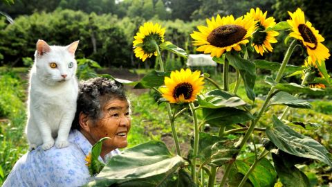 <a href="https://www.facebook.com/MisaoFukumaru" target="_blank" target="_blank">Misao, 88, and her odd-eyed cat Fukumaru</a> in Japan. Misao found the stray cat when he was little. Misao's granddaughter, photographer Miyoko Ihara, documented the friendship between the <a href="http://www.dailymail.co.uk/news/article-2232894/Misa-Fukumaru-Friendship-pensioner-cat.html" target="_blank" target="_blank">Misao and Fukumaru</a>.  