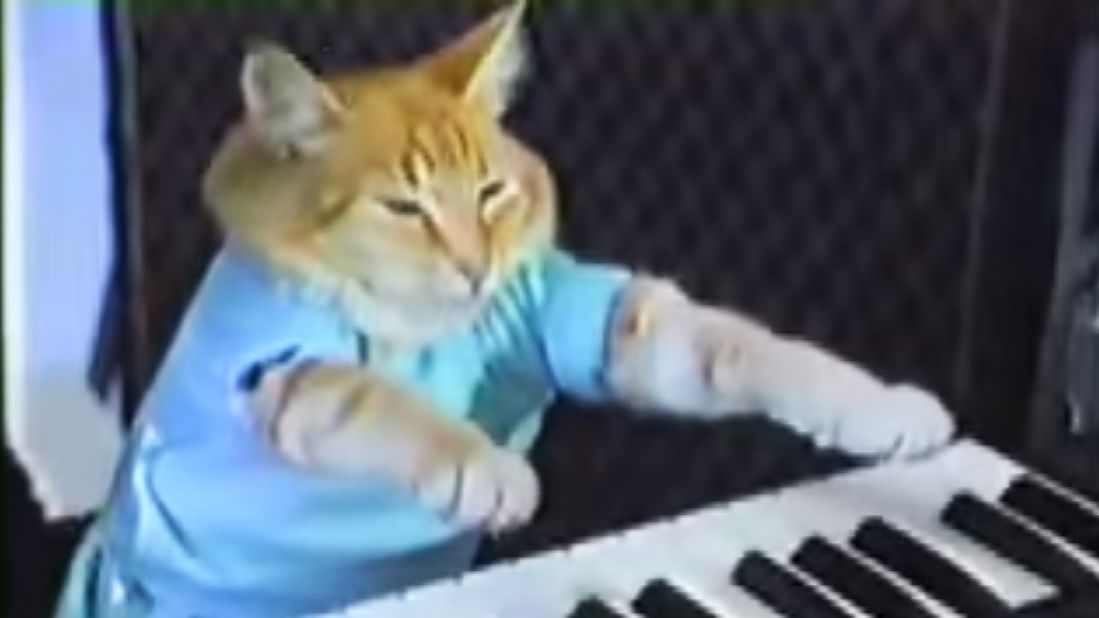 <a href="https://www.youtube.com/watch?v=J---aiyznGQ" target="_blank" target="_blank">Keyboard cat</a> is an Internet meme. 