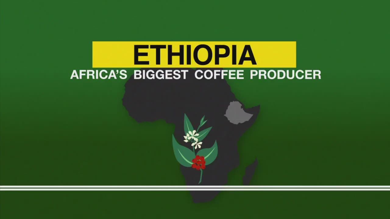 spc africa view ethiopian coffee_00001903.jpg