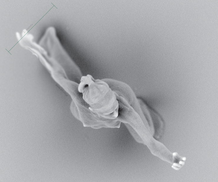 The sculpture is invisible to the naked eye and measures just 100 microns (0.1 millimeters).