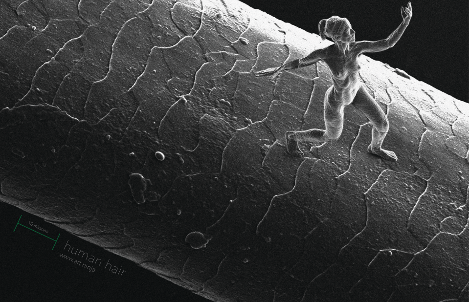<em>Trust</em>, a nano-scultpure by London-based artist Jonty Hurwitz, is so tiny it can stand on a human hair.
