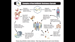 The National Action Plan for Combating Antibiotic-Resistant Bacteria