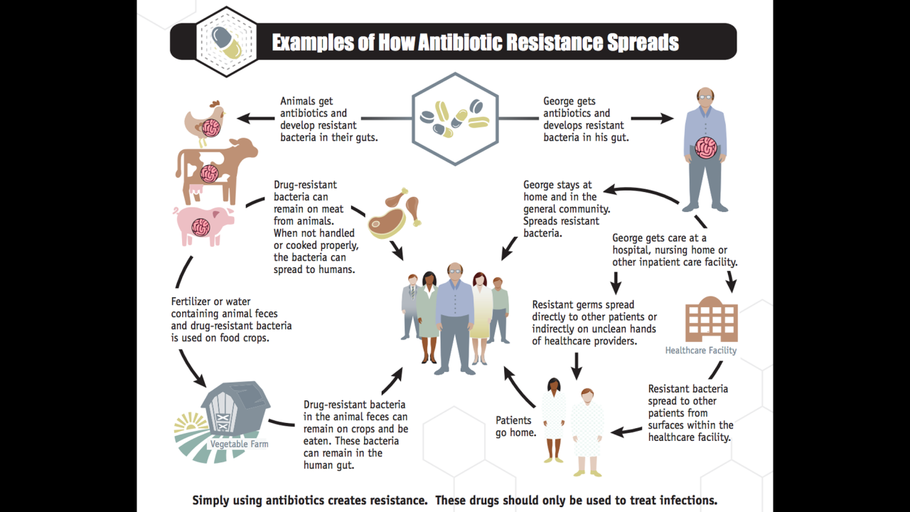 The National Action Plan for Combating Antibiotic-Resistant Bacteria