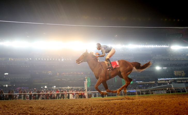 14-1 long shot Prince Bishop stormed from the back of the field to win the $10 million Dubai World Cup.