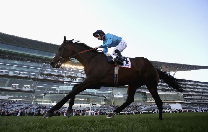The day wasn't all about the World Cup. A full day of racing was to be had. The earlier Gold Cup was won by Brown Panther.