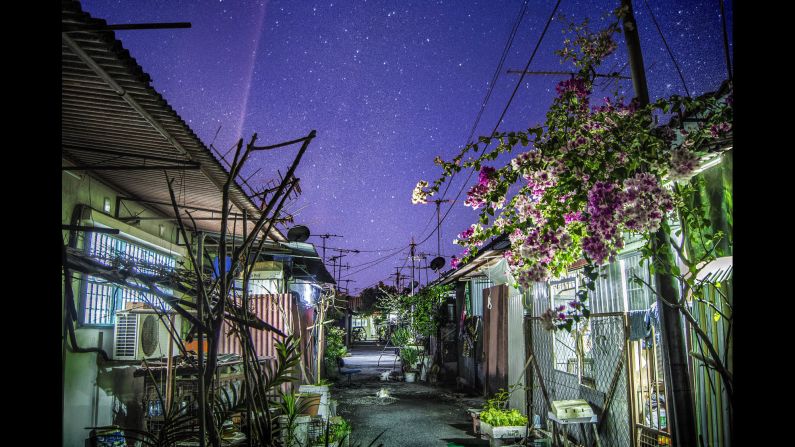 <strong>"Back alley" by Yong Lin Tan, 19</strong><br />Photographer's description: This is the back alley of my grandmother's house in Alor Setar, Kedah, Malaysia. I shot this during Chinese New Year last year when the sky is the clearest and brightest with stars. A flower plant can also be seen flourishing with limited resources and space. There (are) a lot of cats wandering around the back alley usually after dinner time, waiting to be fed by the good people around here. 