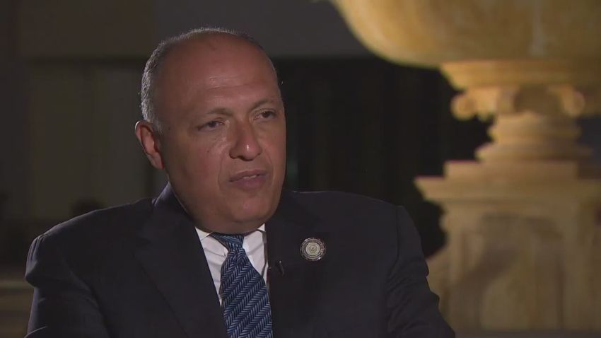 exp egypt foreign minister shoukry talks yemen and arab joint force_00002216.jpg