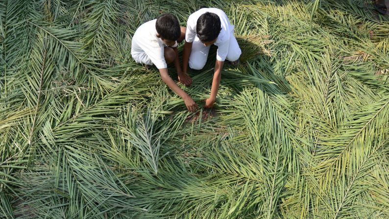Christians collect palm fronds for a Palm Sunday service in Secunderabad, India, on March 29.