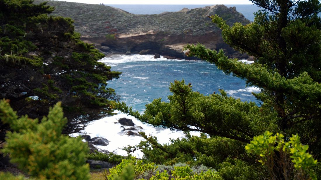 The Point Lobos State Natural Reserve in Monterey County is popular with hikers. It's sometimes billed as the "greatest meeting of land and sea in the world." 