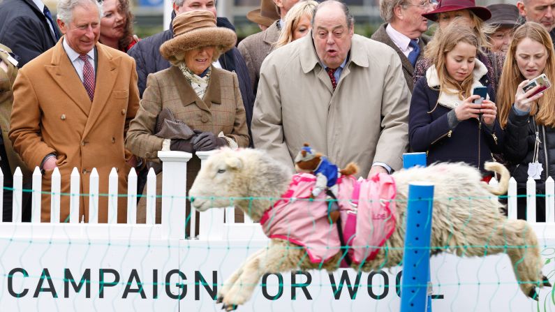 Britain's Prince Charles, left, and his wife Camilla, Duchess of Cornwall, watch sheep race in Ascot, England, on Sunday, March 29. At center is Sir Nicholas Soames, a Parliament member who is Winston Churchill's grandson.