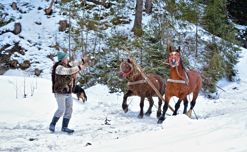 A local calms a pair of energized horses in the <a href="http://ireport.cnn.com/docs/DOC-1216593">Maramures </a>region. 