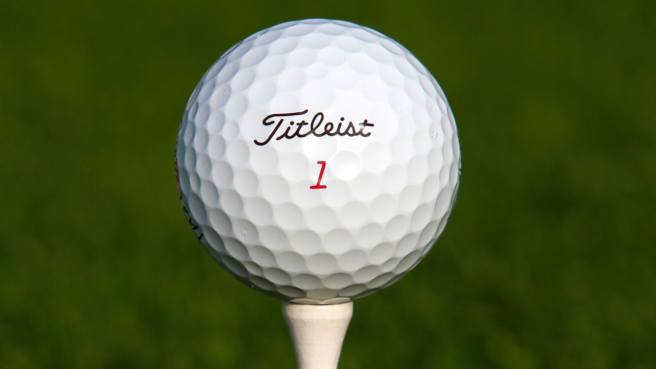 The fairest of them all: The Titleist Pro V1 golf ball is a prize catch for divers.