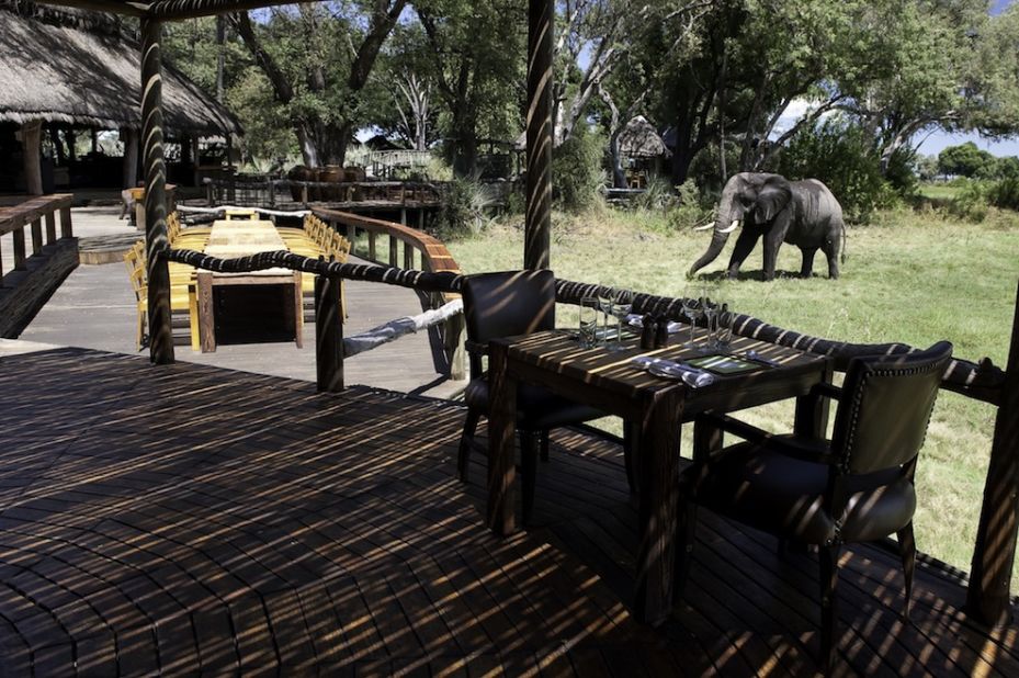 Mombo Lodge in Botswana prides itself on its eco credentials. 